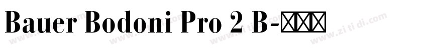 Bauer Bodoni Pro 2 B字体转换